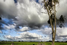 绿军新秀强势崛起，引发球迷狂热